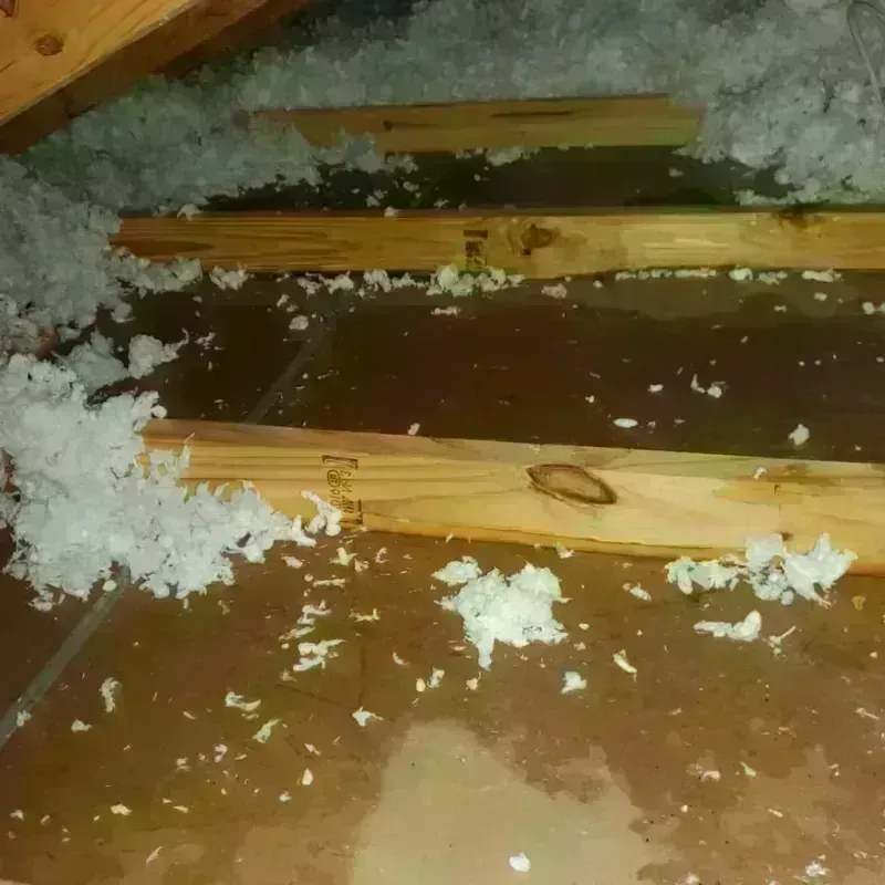 Attic Water Damage in Lakeland, GA