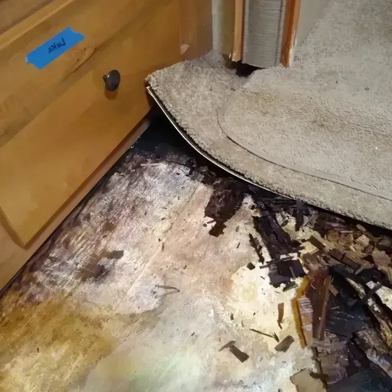 Wood Floor Water Damage in Lakeland, GA